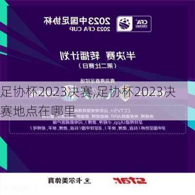 足协杯2023决赛,足协杯2023决赛地点在哪里