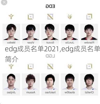 edg成员名单2021,edg成员名单简介