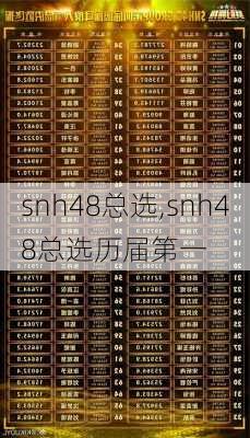 snh48总选,snh48总选历届第一