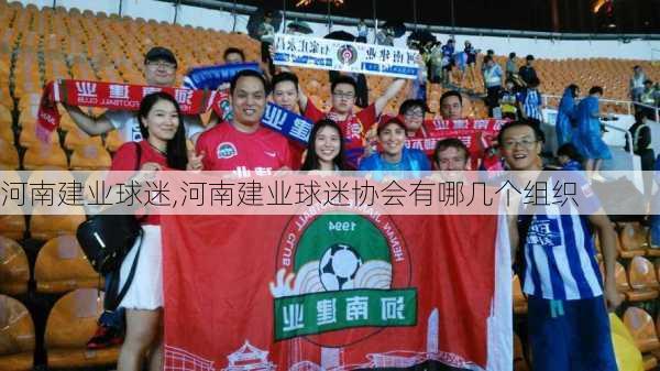 河南建业球迷,河南建业球迷协会有哪几个组织