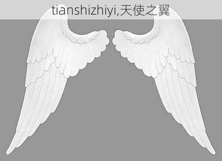 tianshizhiyi,天使之翼